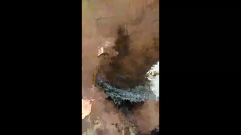 urbanbrickz online show from 2, 3, 2026