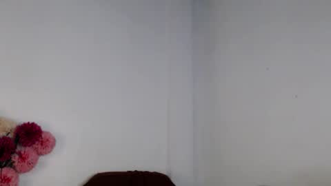 venice online show from 24, 11, 2025