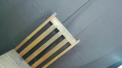 Ariana online show from 11, 12, 2024