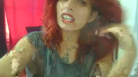 Aniie online show from 8, 1, 2026