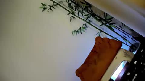 ursashafucker69 online show from 3, 12, 2024