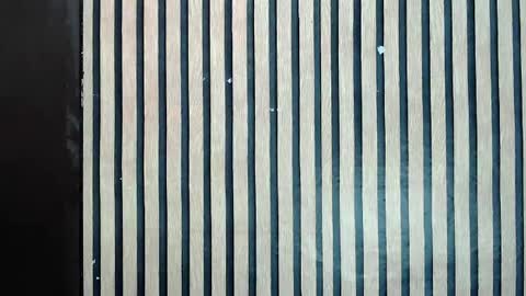 Jane online show from 10, 2, 2025