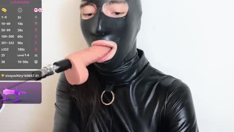 usedexcuse online show from 28, 11, 2025