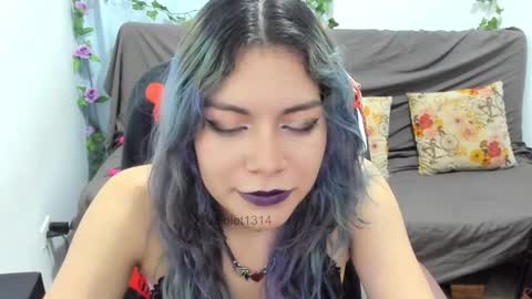 Snapshot of vaioletuwu chatting on 28, 2, 2026 Vaiolet1314 online show from 28, 2, 2026