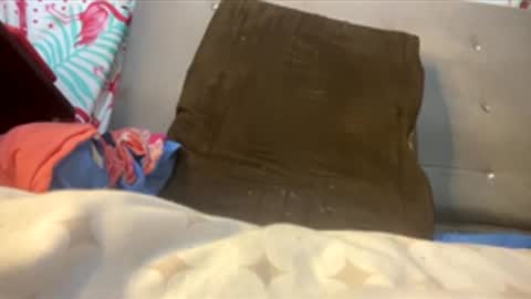 valencutt online show from 26, 2, 2026