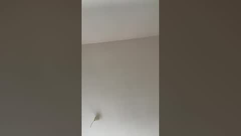 Snapshot of valerianleclercq2025 chatting on 27, 2, 2026 valerianleclercq2025 online show from 27, 2, 2026