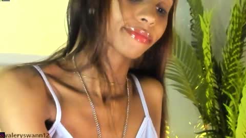 Snapshot of valery_swan1 chatting on 23, 12, 2024 Valery swan1 online show from 23, 12, 2024