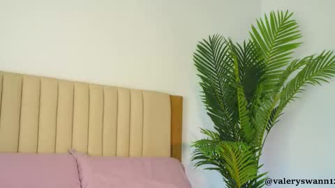 Valery swan1 online show from 11, 2, 2026