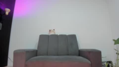 Snapshot of vandalovee chatting on 25, 5, 2026 Babi Alu online show from 25, 5, 2026