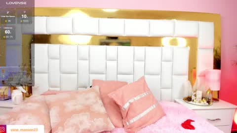 vane_manson online show from 27, 12, 2024