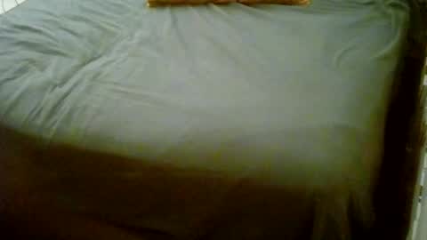 Usagi online show from 18, 1, 2026