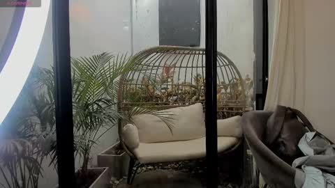 VENUS online show from 11, 1, 2026