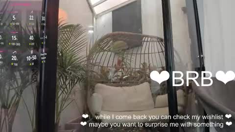 VENUS online show from 19, 1, 2026