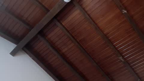 Venus Evans online show from 4, 2, 2025