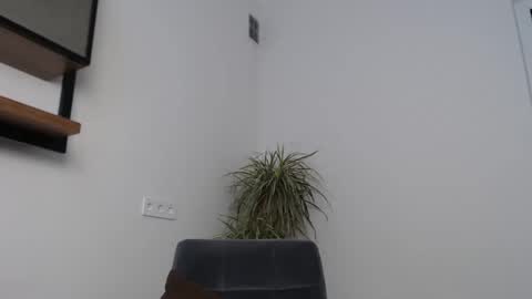 veronik_shy online show from 12, 2, 2026