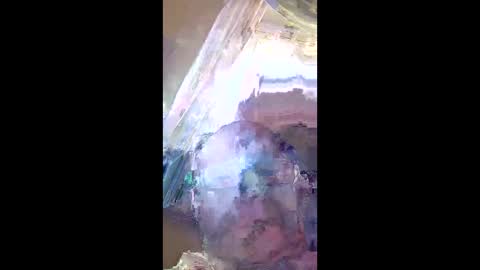veronika456 online show from 11, 6, 2026
