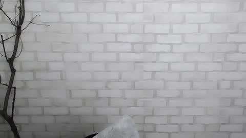 Ana online show from 28, 12, 2024