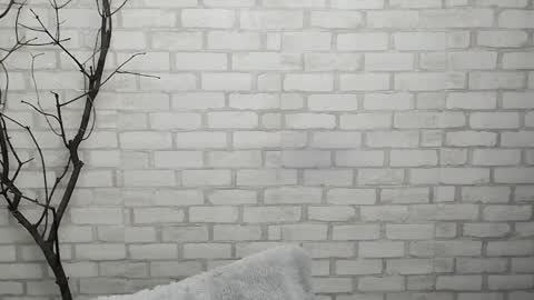 Ana online show from 28, 1, 2025