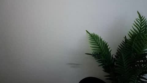 Ana online show from 30, 9, 2025