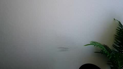 Ana online show from 5, 2, 2026