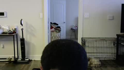 victoryd007 online show from 16, 1, 2025