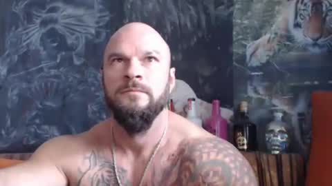 viking online show from 8, 10, 2025