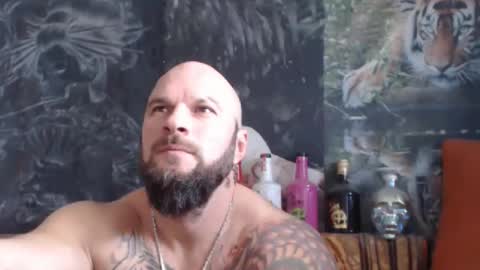 viking online show from 18, 11, 2025