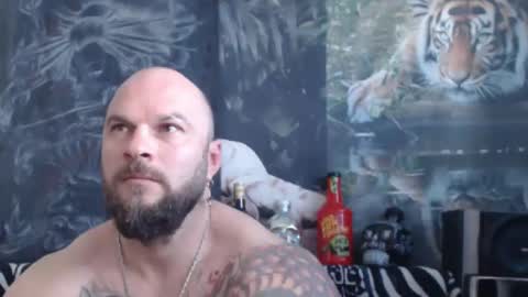 viking online show from 14, 4, 2026