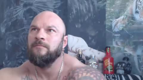 viking online show from 31, 5, 2026