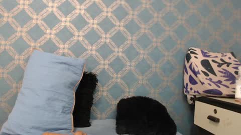 Violeta  online show from 18, 12, 2024