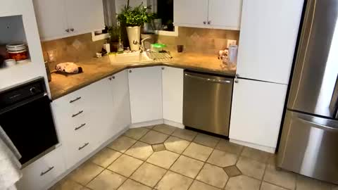 Vivlove online show from 20, 1, 2025