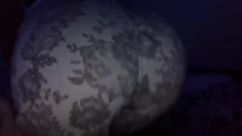 vkitty01 online show from 31, 3, 2026