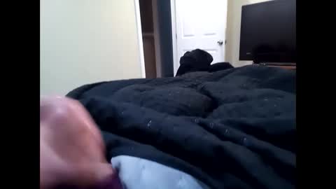 Snapshot of vladedivac1998 chatting on 23, 9, 2025 vladedivac1998 online show from 23, 9, 2025