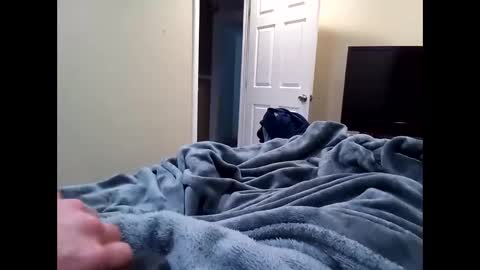 Snapshot of vladedivac1998 chatting on 20, 2, 2026 vladedivac1998 online show from 20, 2, 2026