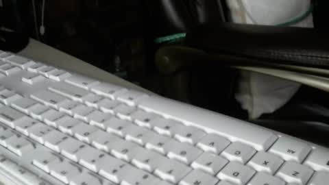 vnpg92 online show from 13, 12, 2025