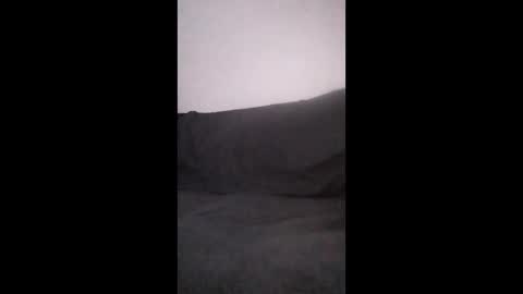 vonpaulusjd online show from 3, 3, 2026