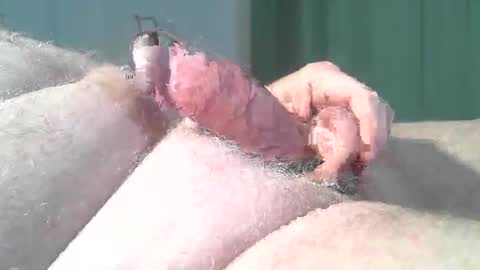 vukavuka99 online show from 2, 3, 2026