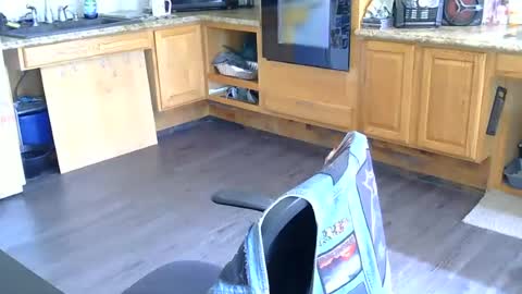 Snapshot of wallflower2727 chatting on 14, 7, 2026 Fuck Marie i dunno online show from 14, 7, 2026