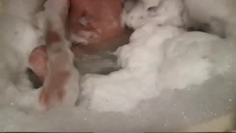 wankster101 online show from 20, 4, 2026