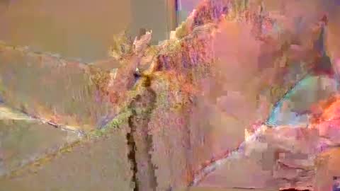 Snapshot of want2cum4gal chatting on 29, 12, 2024 want2cum4gal online show from 29, 12, 2024