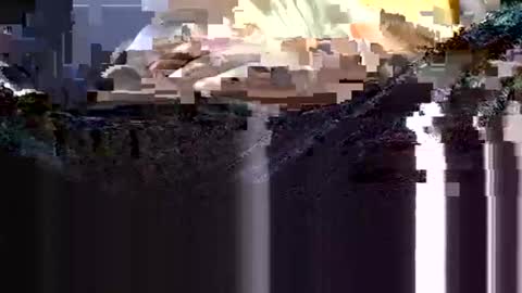 wanttowatch87 online show from 12, 2, 2025