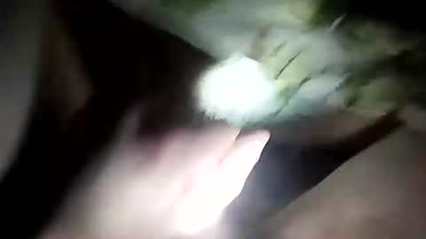 wariatos3 online show from 10, 1, 2025