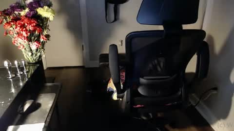 wasted_daze_ online show from 25, 10, 2025