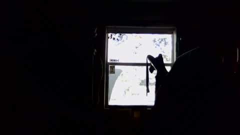 Snapshot of waterfire420 chatting on 5, 1, 2025 waterfire420 online show from 5, 1, 2025