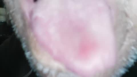 wayne1311 online show from 23, 1, 2025