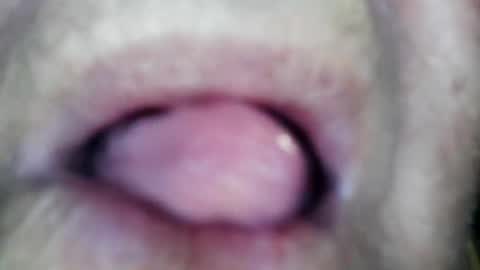 wayne1311 online show from 13, 1, 2026