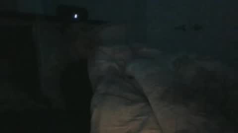 Snapshot of weatheredvoid chatting on 31, 1, 2025 WeatheredVoid online show from 31, 1, 2025