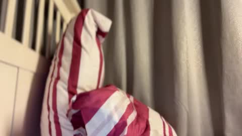 Maggie online show from 13, 10, 2025