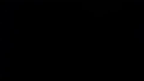 wellingtont online show from 28, 9, 2025