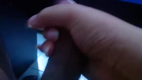 wellingtont online show from 6, 10, 2025